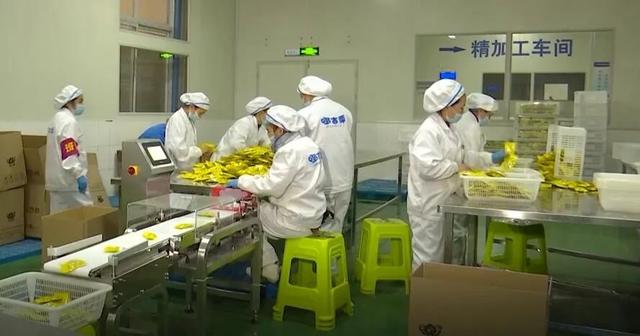 「一防两不停 确保开门红」望谟:加班加点赶制特色年货 销售食品
